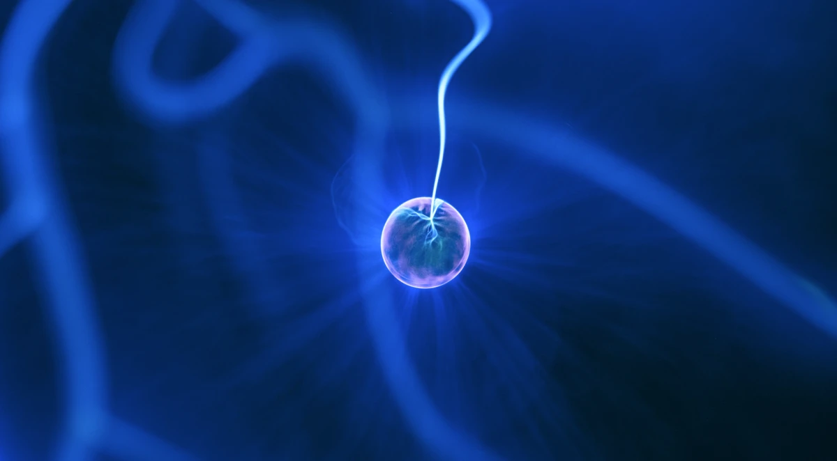 Our company supplies neurosurgical and cardiac surgical implants and consumables